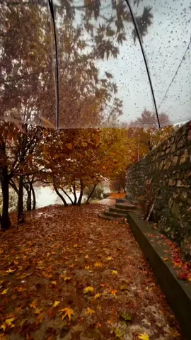 📸🖤🫶🏻#sheladize_deraluk_seryi #foryou #explore #rekani #photography 