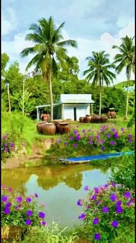 Có những nét đẹp mộc mạc, đơn sơ mà thời gian qua mình đã vô tình lãng quên. #canhqueyenbinh #hoainiem #chualanh #boconganh #foryou 