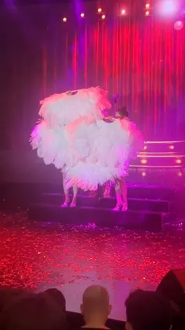 trời sinh một đôi luna và hồng bảo vy#luna #hongbaovy 