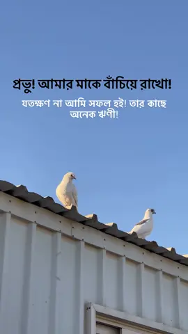 যদি বলো পৃথিবীর সবচেয়ে..! মূল্যবান জিনিস কি,তাহলে আমি মাথা উঁচু করে বলবো আমার মা....! 🖤🌺#trending #fvp #tiktok #poryoupage #bangladesh🇧🇩 