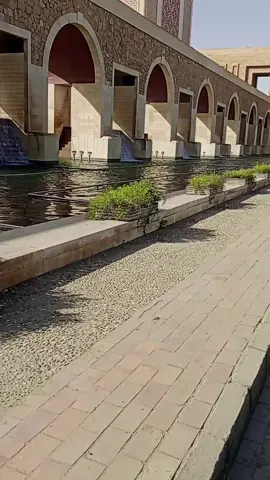 #المنشاوي🎧🎤قران🥹 #المنشاوي_قرآن_كريم #المنشاوي🌲🌱🌿 #الاذاعه_و_التلفزيون 