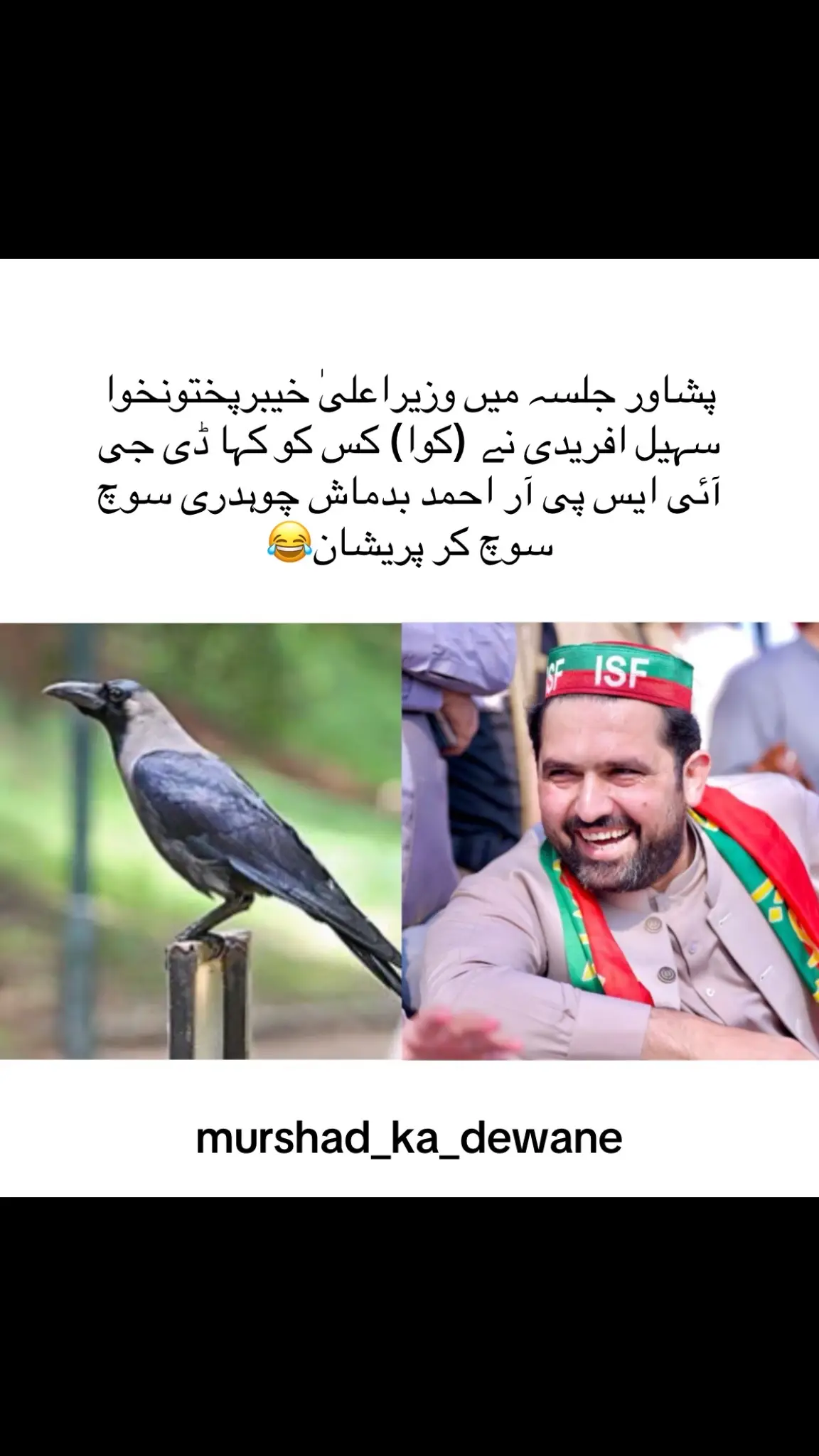 پشاور جلسہ میں وزیراعلیٰ خیبرپختونخوا سہیل افریدی نے (کوا) کس کو کہا ڈی جی آئی ایس پی آر احمد بدماش چوہدری سوچ سوچ کر پریشان😂 #foryou #foryoupage #viewsproblem😭 #murshad_ka_dewane #fyp 