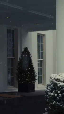 First fall of snow at the White House ❄️