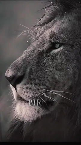 #russian #motivasyon #trendingvideo 