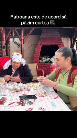 #leodelastrehaia #alindelastrehaia #mihaelatache #ancadelastrehaia #leodelastrehaia 