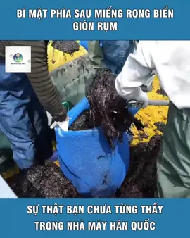 #1 #boich #xuhuong #xh #ilovetiktok 