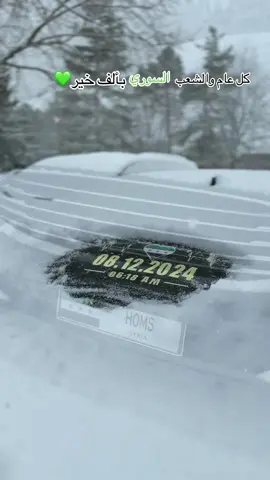 ياصباح الخير وكل عام والشعب السوري بالف خير🥰💚#fypシ゚viral #capcut #fyp #CapCut 