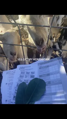 #ignacio #fyp #paratiiiiiiiiiiiiiiiiiiiiiiiiiiiiiii 