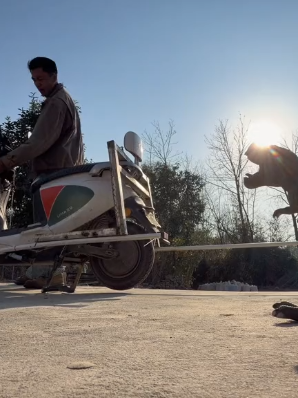 Thiết kế chống chó đuổi