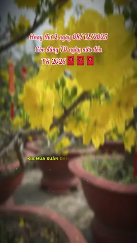 Nghe nôn quá mn ơi. Còn 70 ngày nữa thôi mà chưa làm được gì cả..! #tet2026 #nhacxuan #capcut #capcutpioneer #pioneertemplate 