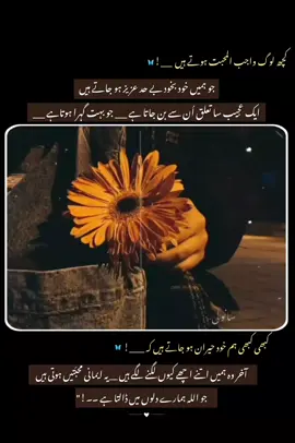 !!کچھ لوگ واجب المحبت ہوتے ہیں ناں ۔۔۔۔۔ 🍂🌺💫 ۔ ۔ ۔ #quotes #sayings #sanwlii🖤🤗 #repostrequest🖤 #unfreezemyacount 