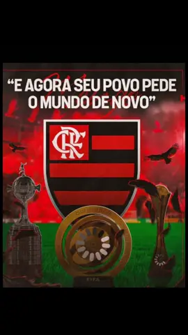 #flamengo  #amorporflamengo 