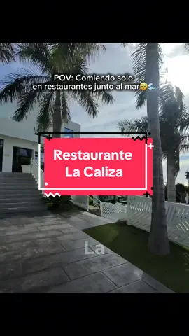 Hoy voy solo a comer a un increíble restaurante junto al mar mediterráneo llamado Restaurante La Caliza. Donde pruebo una variedad de platos como alcachofas confitadas con jamón ibérico, arroz con pluma y boletus, y visitamos la impresionante Cueva del Tesoro. Una de las tres únicas cuevas de origen submarino que se conocen en el mundo y la única en Europa. Está situada en el municipio de Rincón de la Victoria, en Málaga. Además, dentro del restaurante conozco un aceite de la provincia de Jaén, llamado Oro Bailén, muy rico. Un vino de la tierra de Málaga, Lagar de Cabrera, el cual me sorprendió de manera excelente. Terminamos la experiencia con un delicioso cóctel y conversaciones con el personal local. El trato fue impecable, y la experiencia de 10. Gracias a todo el equipo de La Caliza y al personal de Cueva del Tesoro por la atención tan buena. #POV #solodate 