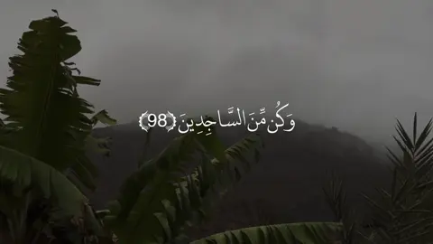 سبحان الله وبحمده ، سبحان الله العظيم 📻 | #قران #fyp #قران_كريم #اكسبلور 