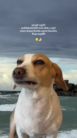 🙂🤌🏻#CapCut #onemillionaudition #7millionviews #foryoupage #fypppppppppppppppppppppp 