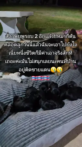 #สาวอีสานใต้ #ศรีสะเกษ #ชายแดนไทยกัมพูชา 