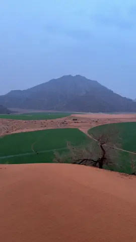 .🏞️🌧️. #حائل #امطار_حايل #hail 