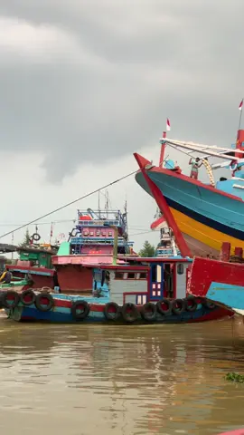 KM.ADHI MINA PERKASA 1 // #monsterlaut45 #monsterlautindonesia #kapalpenampungjuwana #kapaljuwana #kapalpursesainejuwana 