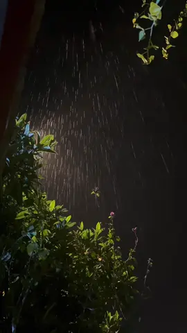 #fyp #furyou #viral #nature #اكسبلور 