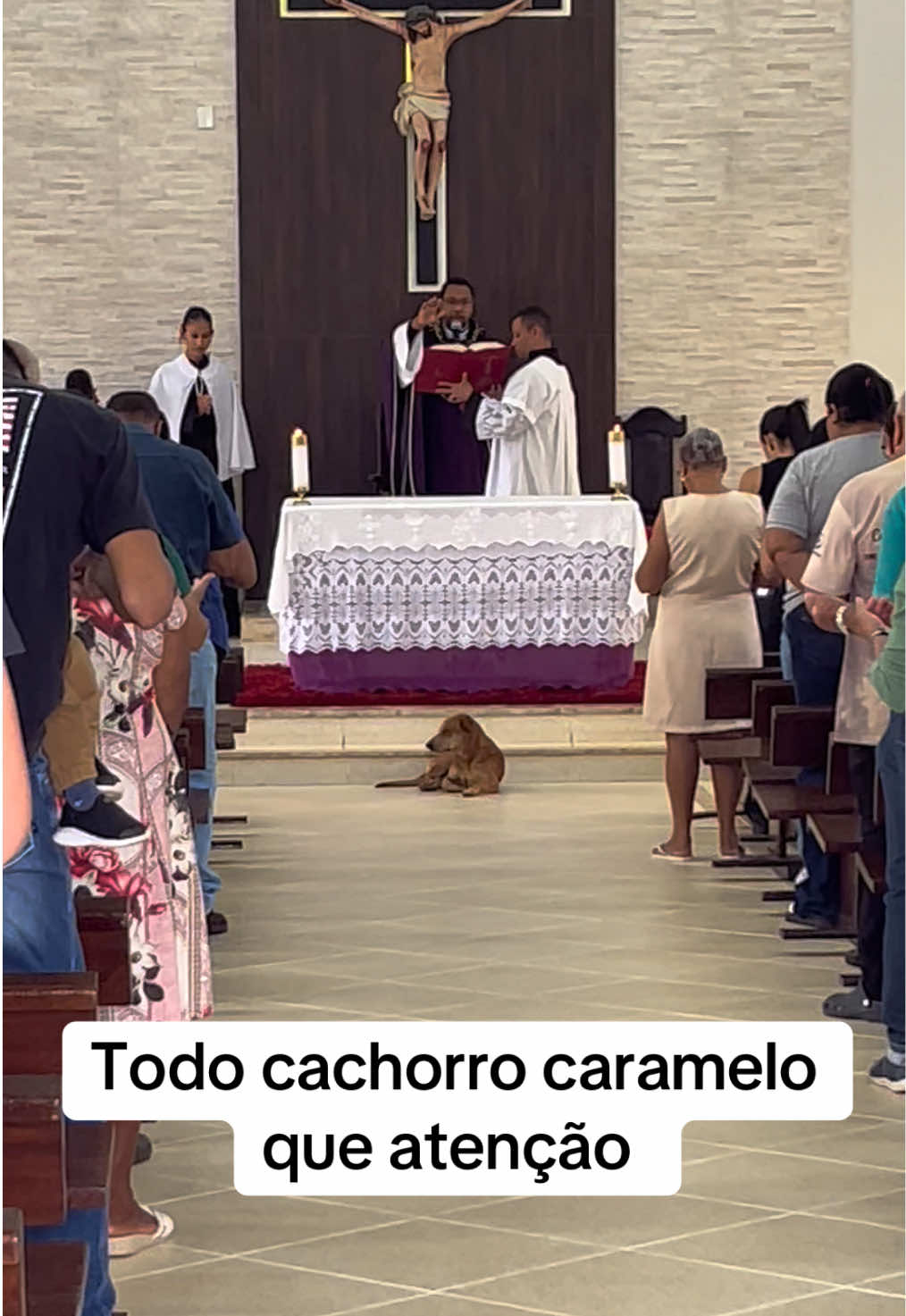 Caramelo na igreja #caramelo #cachorro #pet #dog #igreja
