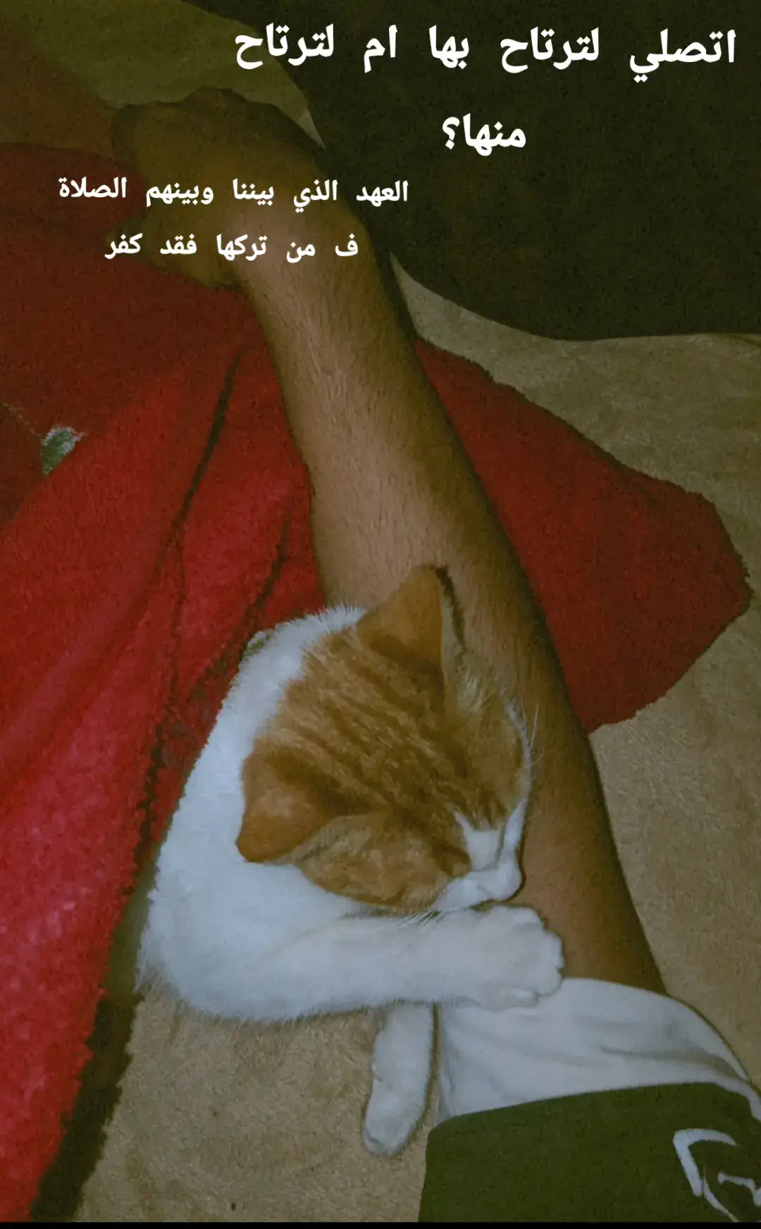 #foryou #foryoupage #الصلاة #قران_كريم 