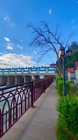 كوتنا العشق♥️#معلمون_مبدعون #تاروت_برج_الثور #متابعة_لايك_تعليق_مشاركة_فولو #explore #العراق 