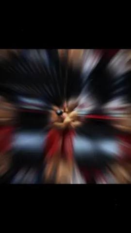 chúc 2 thằng anh chiến thắng 2 thằng em Trung Quốc vào 27/12 tại LC29#viral #lionchampionship29 #phuongte #thucvenum #mma @phương te @Thức venum 