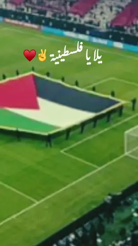 ونشجع الفدائية✌️🇵🇸#قاسم_النجار #شادي_البوريني #كأس #العرب #فلسطين🇵🇸 #المنتخب_الفلسطيني_الفدائي🇵🇸 #اكسبلورexplore #قطر#قطر_الدوحة #لوسيل_قطر #اكسبلورexplore #✌️🇵🇸#fypシ゚viral🖤tiktok #سوريا🇸🇾 #سوريا 