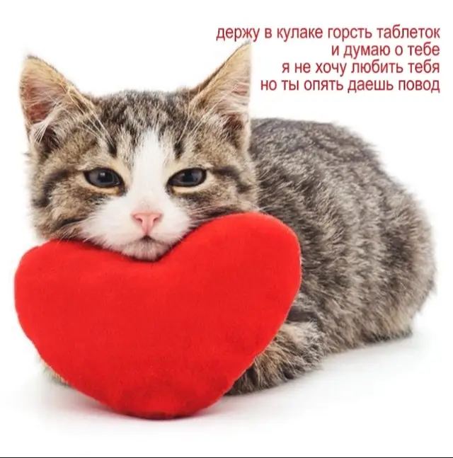 Одиночество — это эмоциональное состояние человека, когда у него нет доверительных отношений с другими людьми из-за психологической и социальной изоляции.  Одиночество может проявляться в ощущении опустошённости, покинутости и ненужности. При этом чувство одиночества не всегда связано с реальной социальной изоляцией: человек может чувствовать себя одиноким в окружении родных и близких.  Некоторые причины одиночества: Личная изоляция. Человек может чувствовать, что его никто не понимает, и его мысли и чувства не важны для окружающих. Перемены в жизни. Переезд, смена работы, расставание или потеря близкого человека могут спровоцировать ощущение одиночества. Внутренние конфликты. Низкая самооценка, тревожность или депрессия могут усиливать чувство одиночества. Нежелание или неспособность заводить новые знакомства. Страх перед общением или неуверенность в себе могут мешать человеку открываться новым людям и возможностям. #щитпост #щп #real #fyp #on 