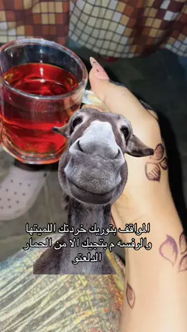 #MemeCut #Meme #MemeCut #الشعب_الصيني_ماله_حل😂😂 #مشاهير_تيك_توك_مشاهير_العرب🌺💜 