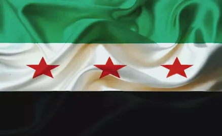 سوريا لبست اخضر 2024/12/8 #سوريا #سوريا🇸🇾 #video #لبت_لبت_ها_ها #fyp 