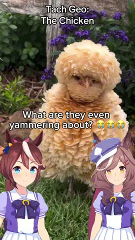 Meet the Chicken! #umamusume #umamusumeprettyderby #ウマ娘 #fyp 