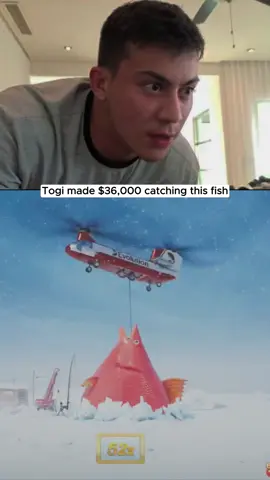 Togi made $36,000 #fyp 