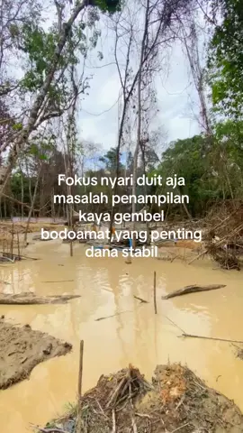 #fyp #viral #tambangemas #tambangemaskalimantan 