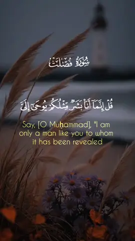 آيات من الذكر الحكيم  #احمد_العجمي #سورة_فصلت #قران #quran #viral 