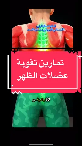 تمارين لتقوية عضلات الظهر و تخفيف الألم ، تمارين أسفل الظهر ، تمارين العمود الفقري ، تمارين الديسك ، تمارين لتخفيف ألم الظهر ، علاج فيزيائي للظهر و العمود الفقري و علاج الديسك ، أنا معالج فيزيائي في المانيا مسؤول عن علاج العمود الفقري و المفاصل #علاج_طبيعي #تمارين_رياضية #تمارين_الظهر #تمارين_الديسك #تمارين_لتخفيف_ألم_الظهر