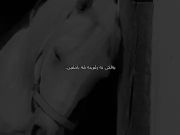 🌚#falsel0ve #dhuke_zaxo_akre_arbil_iraq 