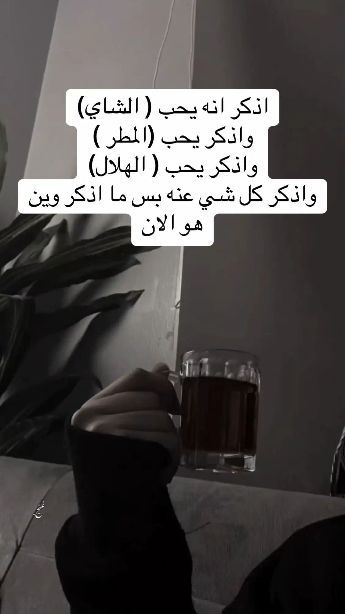 احلى شي في البرد الشاي والنوم الصراحه 🦦🤣#مساء_الخير 