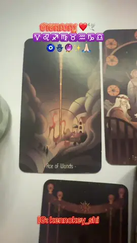 ថាមពលល្អ ❤️🕊️ ♈️♌️♐️♍️♉️♒️♑️♎️ 🧿🪬🔮✨🙏🏻 IG: kennokey_shi #tarot #tarotreading #tarotreader #តារានិករ♈♉♊♋♌♍♎♏♐♑♒♓ #tarotcards 
