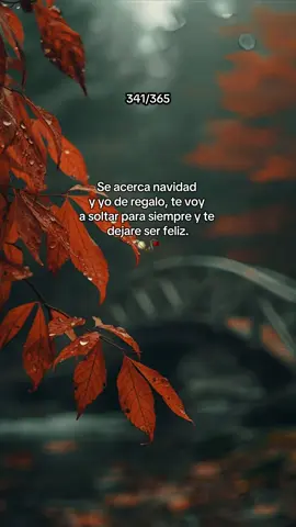 #clasisicrocktiktok #parati 