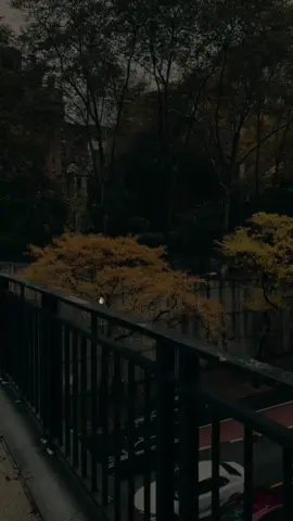 #motivation #foryou #لايك__explore___ @• 𝐑 𝐀 𝐘 𝐄 𝐒 ✪🖤 • #تصميم_فيديوهات🎶🎤🎬 #فرنسا🇨🇵_بلجيكا🇧🇪_المانيا🇩🇪_اسبانيا🇪🇸 