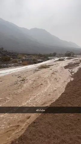 امطار#الزيته_علقان_تبوك_نيوم_الشمال 