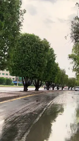 #اكسبلور #explore #trending #ينبع #مطر 