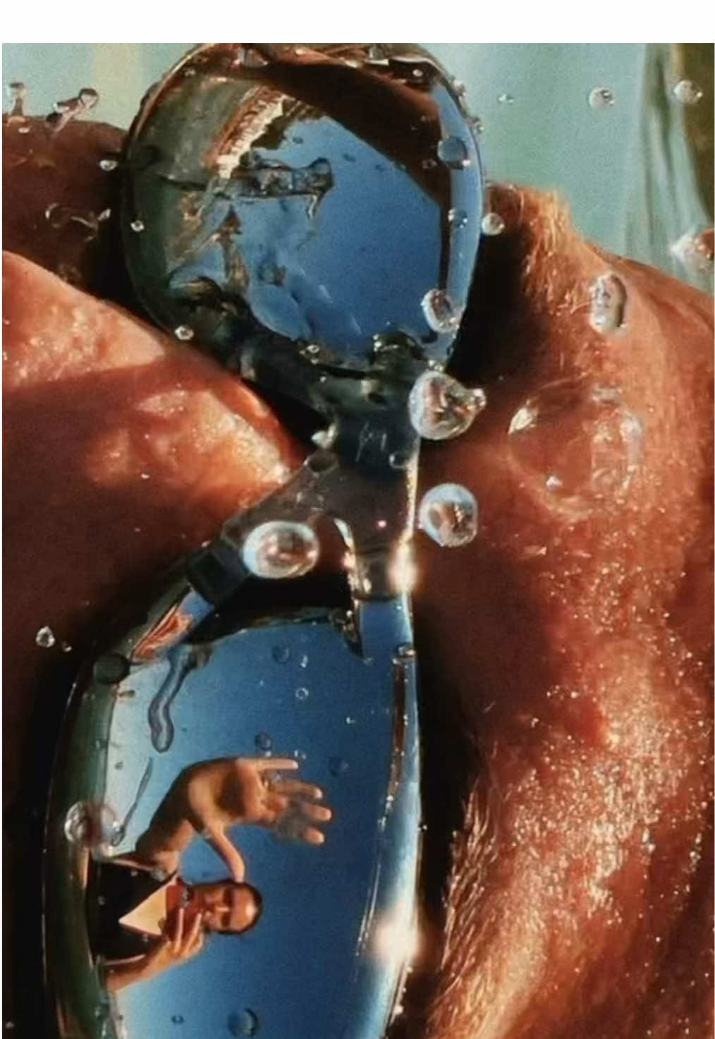 🐆 #Summer #sun #paratii #fyp #cool 