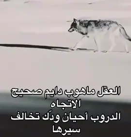 #الجنوبي #مجرد________ذووووووق🎶🎵💞 