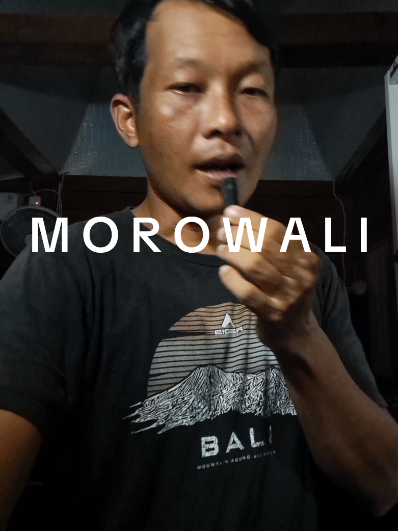 Anggota Dewan Berbohong Dan Menyebarkan Hoax Di Sosial Media #jokowi #prabowo #gibran #politik #indonesia 