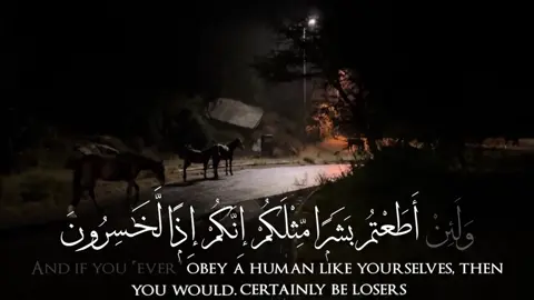 #ترند #viral #قران_كريم #اكسبلور #قران 