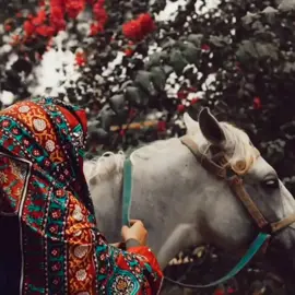 #حسين محب #لو خيروني بين الثراء وبين هواكي  رفضت الغناء🥰😍#اليمن_صنعاء_تعز_اب_ذمار_عدن_وطن_واحد ##اكسبلورe 