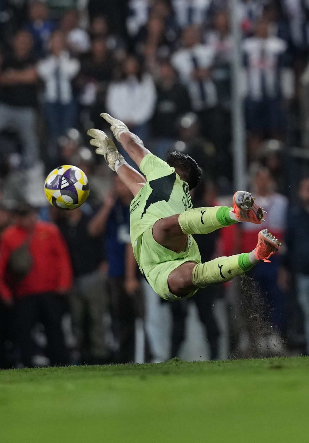 Alianza Lima vs Sporting Cristal: Diego Enríquez y el penal que le atajó a Sergio Peña 🛡️🧤 Gran año del arquero celeste. #alianzalima #Liga1 #futbolperuano #penal #tiktoksports 