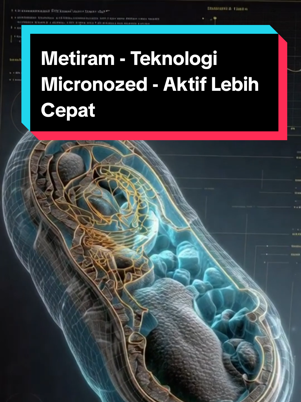 Membalas @baiiukurniawan Animasi MoA bahan aktif Fungisida Metiram! #fungisida #pestisida #petanimuda #petaniindonesia🇮🇩🇮🇩🇮🇩🌿🌿 #fyp 